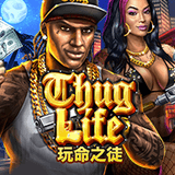 RTP joker powerplay128